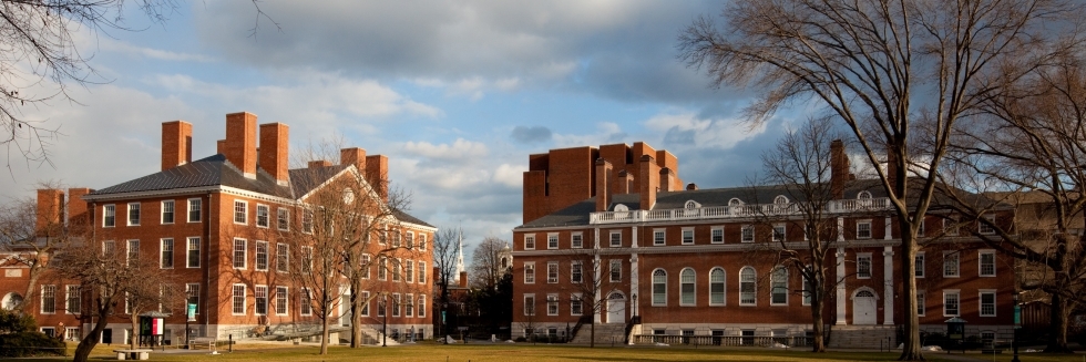 harvard university