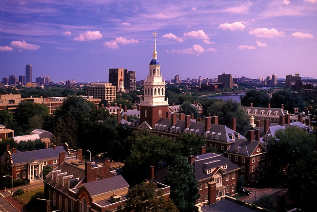 harvard university